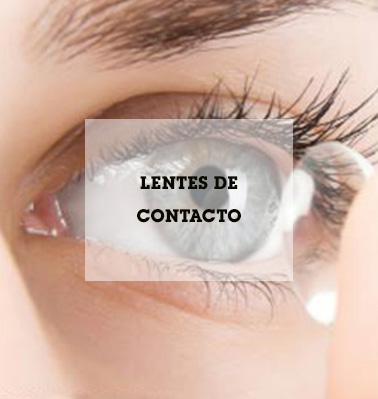 Categor&iacute;a De Contacto